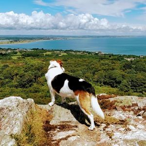 Meet your Posher, Erik